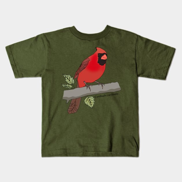 Northern cardinal Kids T-Shirt by ProcyonidaeCreative